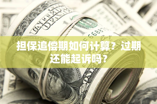 济南担保追偿期如何计算？过期还能起诉吗？