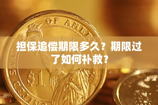 济南担保追偿期限多久？期限过了如何补救？
